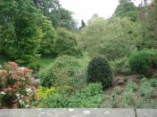 030.jpg - 2009:05:19 12:53:05