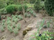 031.jpg - 2009:05:19 12:53:38