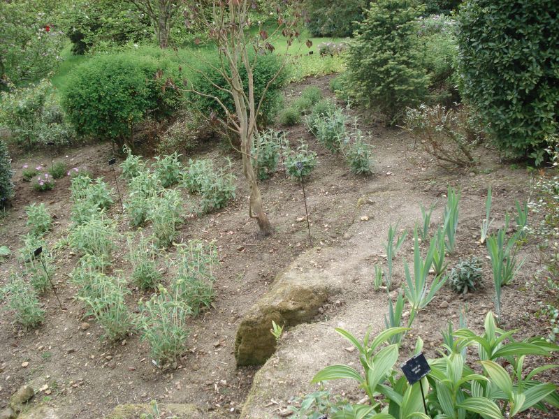 Viewing photos→2009→2009-05-19→031