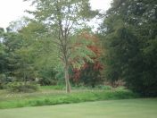 034.jpg - 2009:05:19 12:55:33