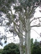 038.jpg - 2009:05:19 13:10:10