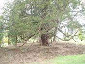 040.jpg - 2009:05:19 13:13:32