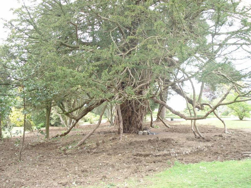 Viewing photos→2009→2009-05-19→040