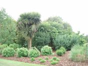 041.jpg - 2009:05:19 13:14:17