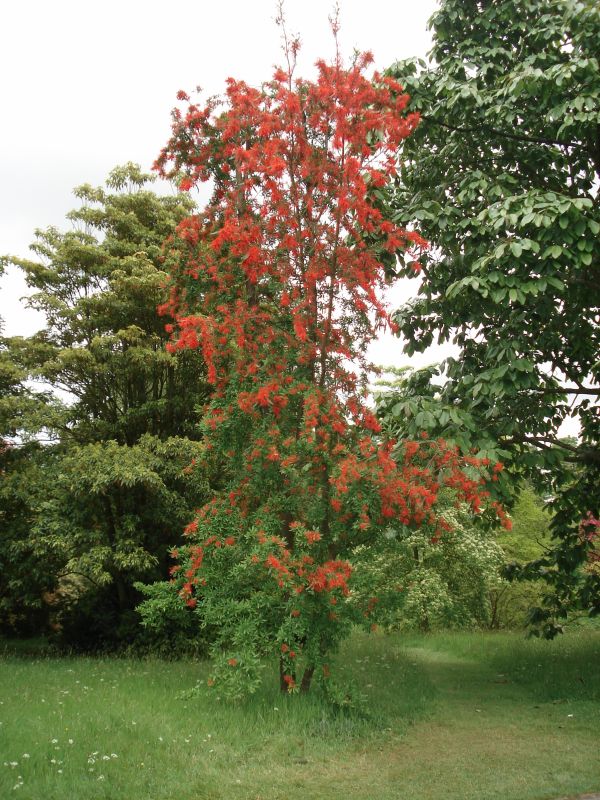 Viewing photos→2009→2009-05-19→042