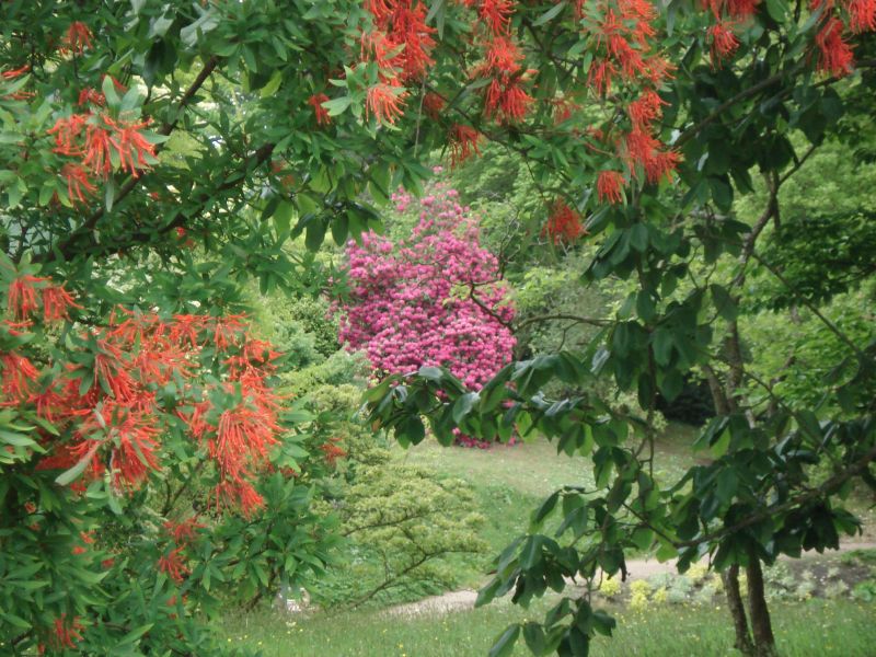 Viewing photos→2009→2009-05-19→043