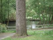 045.jpg - 2009:05:19 13:17:57