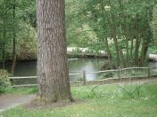 046.jpg - 2009:05:19 13:18:09