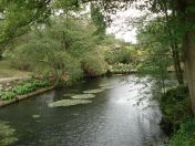 047.jpg - 2009:05:19 13:18:35