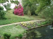 048.jpg - 2009:05:19 13:18:42