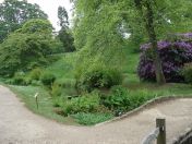 050.jpg - 2009:05:19 13:18:56