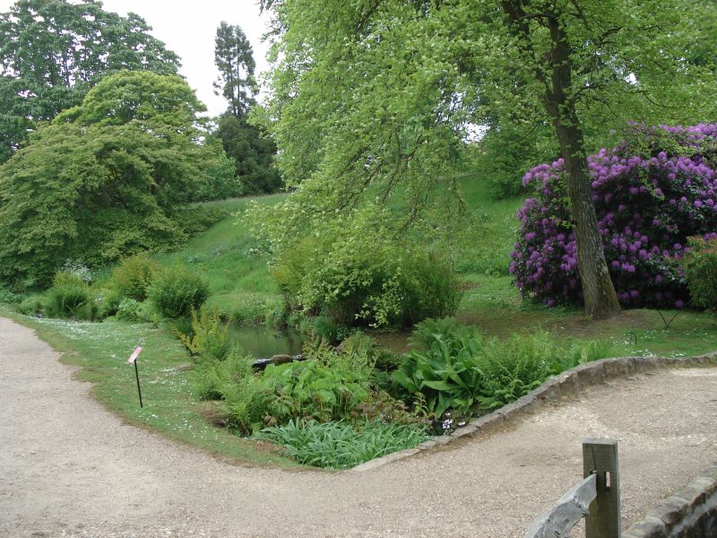 Viewing photos→2009→2009-05-19→050