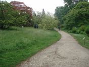 051.jpg - 2009:05:19 13:19:02