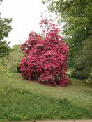 053.jpg - 2009:05:19 13:19:35