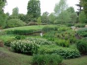 054.jpg - 2009:05:19 13:20:07