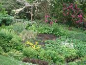 055.jpg - 2009:05:19 13:20:39