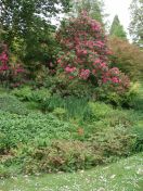 056.jpg - 2009:05:19 13:20:51