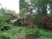 057.jpg - 2009:05:19 13:20:57