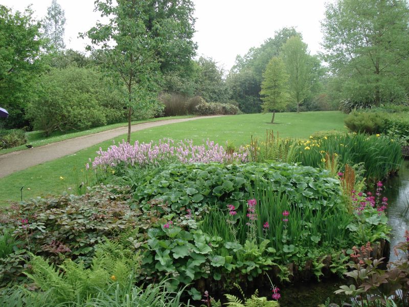 Viewing photos→2009→2009-05-19→058