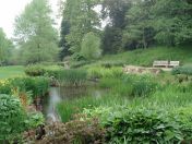 059.jpg - 2009:05:19 13:22:22