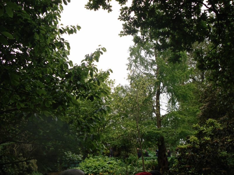 Viewing photos→2009→2009-05-19→061