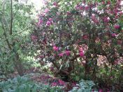 063.jpg - 2009:05:19 13:24:28