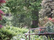 064.jpg - 2009:05:19 13:24:46