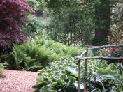 065.jpg - 2009:05:19 13:24:51