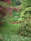 066.jpg - 2009:05:19 13:26:56