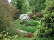 067.jpg - 2009:05:19 13:28:54