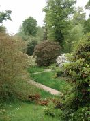 068.jpg - 2009:05:19 13:29:00