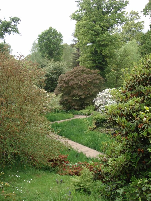 Viewing photos→2009→2009-05-19→068