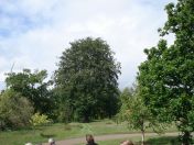 070.jpg - 2009:05:19 13:34:02