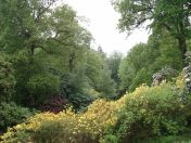 073.jpg - 2009:05:19 13:39:28