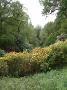 074.jpg - 2009:05:19 13:39:38