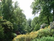 075.jpg - 2009:05:19 13:41:27