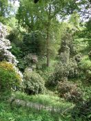 076.jpg - 2009:05:19 13:42:27