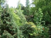 078.jpg - 2009:05:19 13:42:45