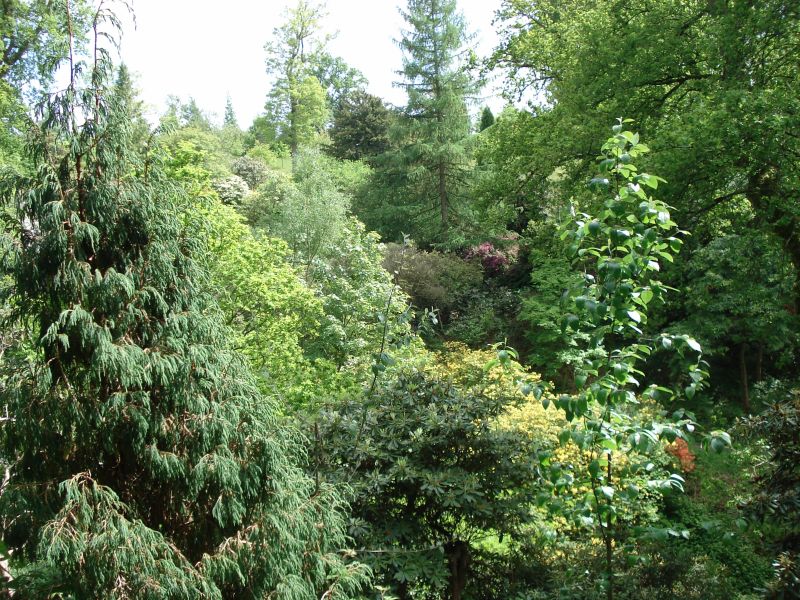 Viewing photos→2009→2009-05-19→078