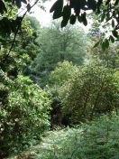 079.jpg - 2009:05:19 13:43:06