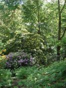 080.jpg - 2009:05:19 13:43:28