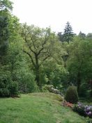 081.jpg - 2009:05:19 13:44:49