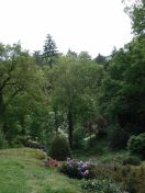 082.jpg - 2009:05:19 13:44:56