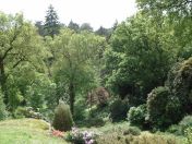 083.jpg - 2009:05:19 13:45:26