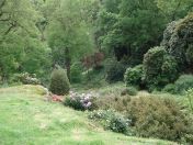 084.jpg - 2009:05:19 13:46:49