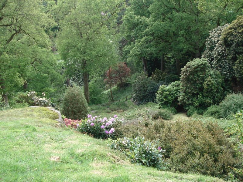 Viewing photos→2009→2009-05-19→084