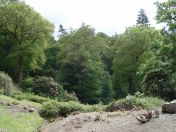 086.jpg - 2009:05:19 13:48:17