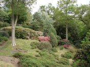 088.jpg - 2009:05:19 13:50:22