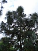 092.jpg - 2009:05:19 13:59:04