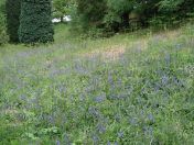 093.jpg - 2009:05:19 13:59:43